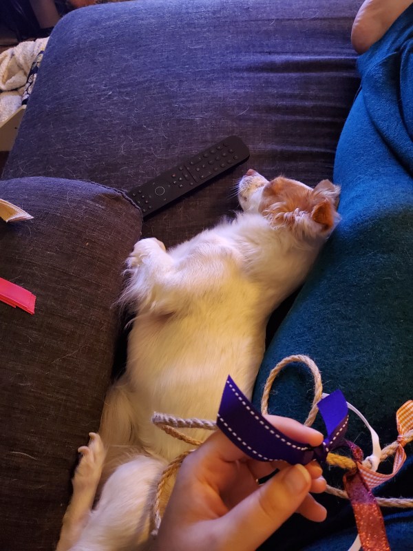 My dog, Penny, finds a place to lie down between my leg and the armrest of the couch while I work on my garland.